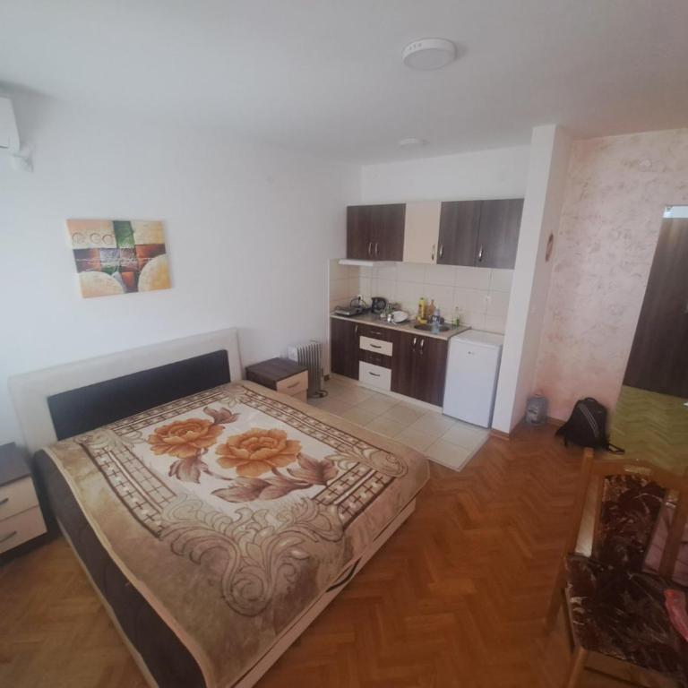 Studio Lepa - Apartman sa 1 Spavaćom Sobom - 1