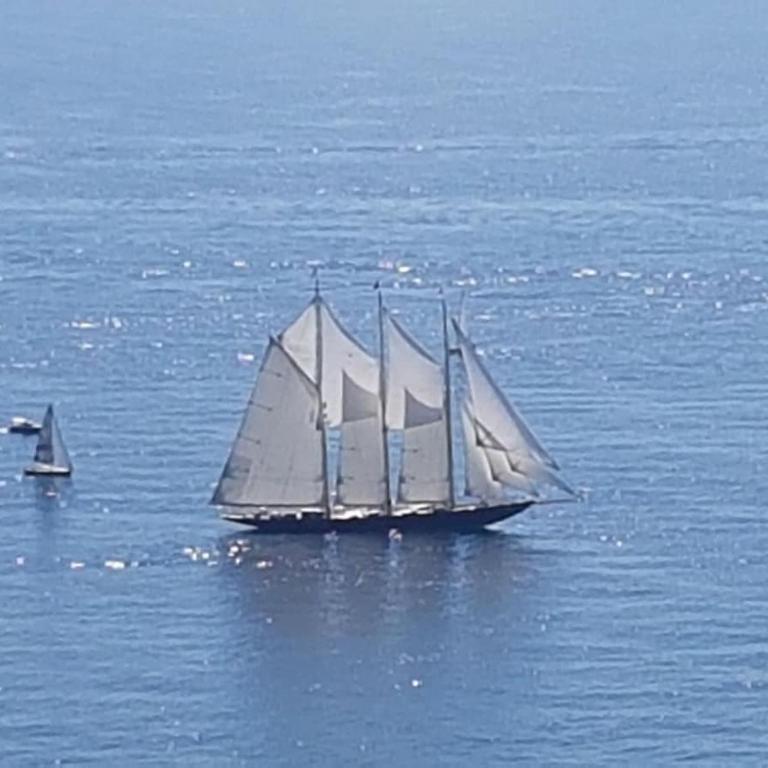 Vicino al mare sulla pista ciclabile - Appartamento con Balcone - 12