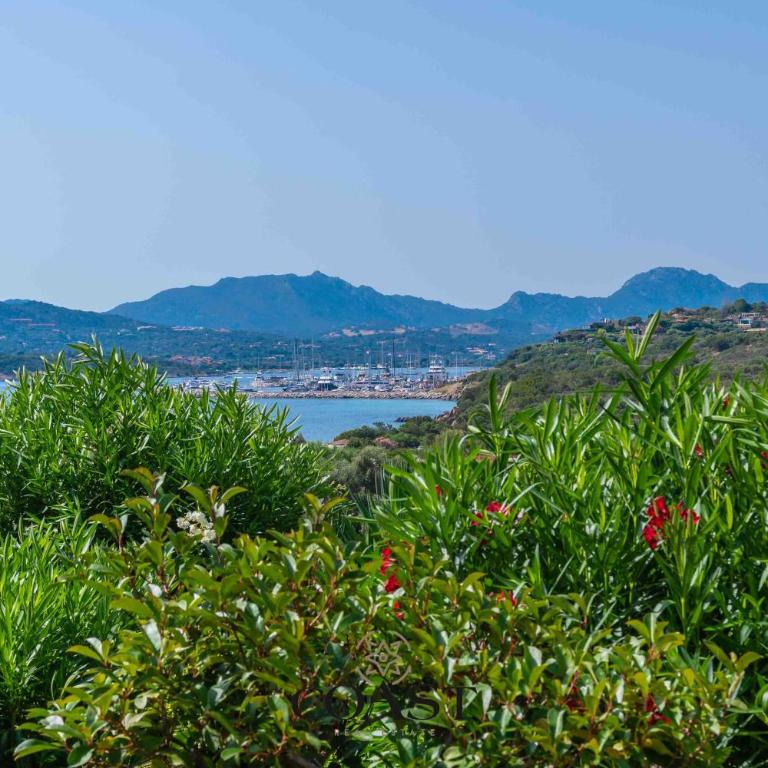 Ulivi Boutique Apartment - Appartamento con Vista Mare - 37