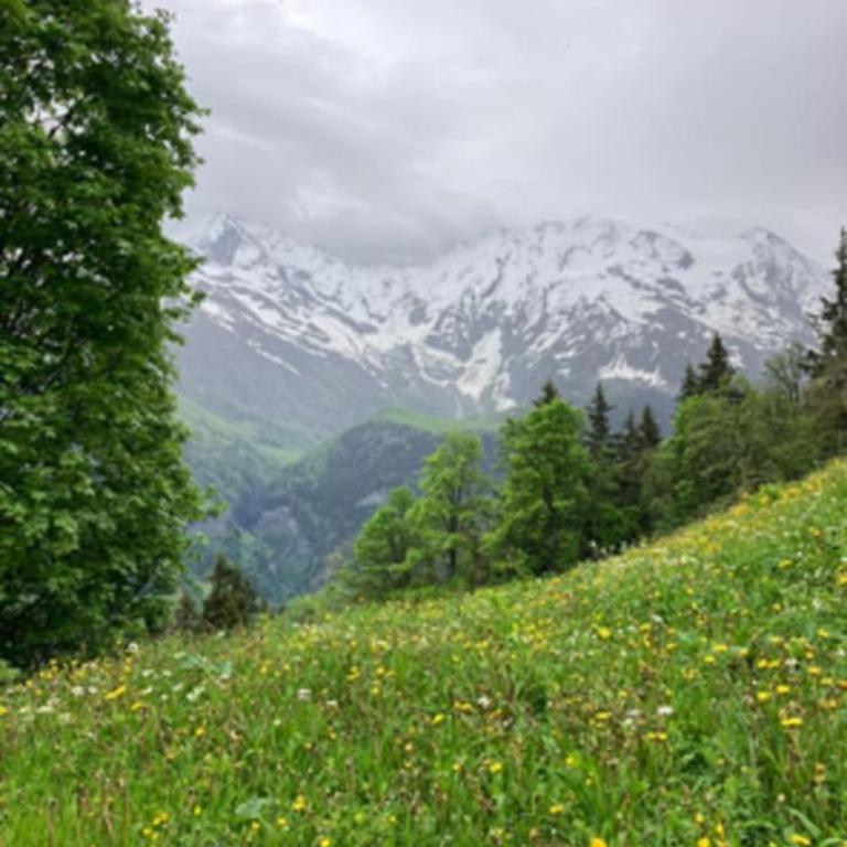 T2 avec piscine à Saint-Gervais-les-Bains - Appartement - 29