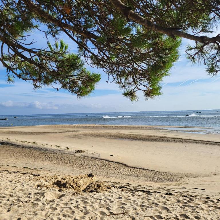 Studio vue bassin - Carpe Diem - Studio with Sea View - 25