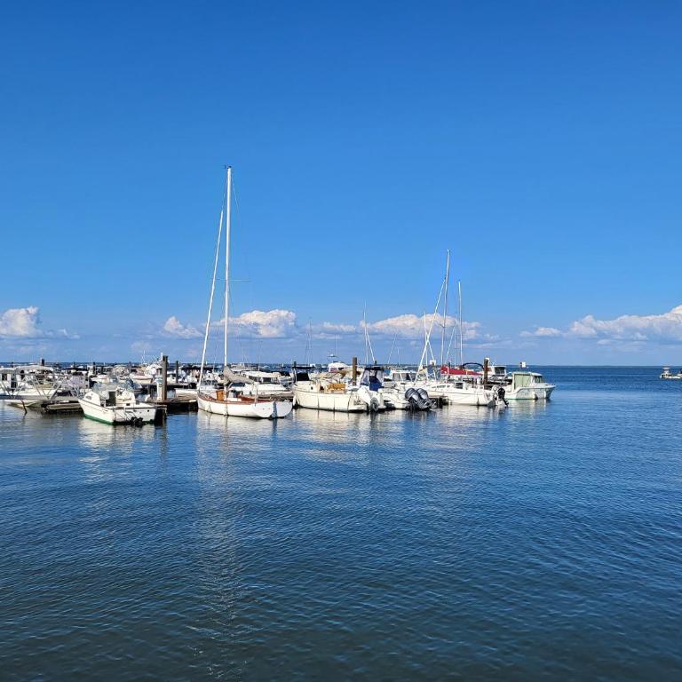 Studio vue bassin - Carpe Diem - Studio with Sea View - 19