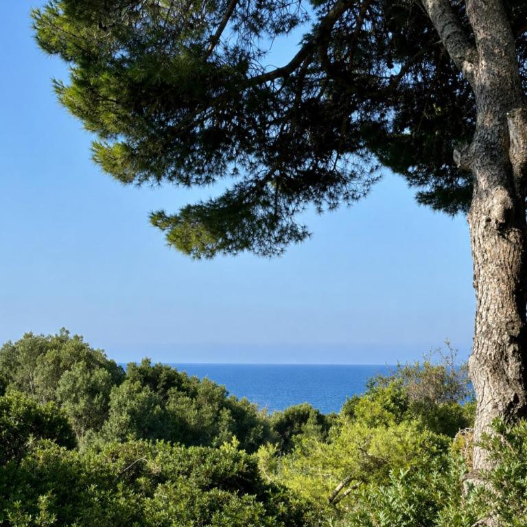 Le Romarin, mobil-home climatisé avec vue sur la mer - Bungalow Deluxe - Vue sur Mer - 1