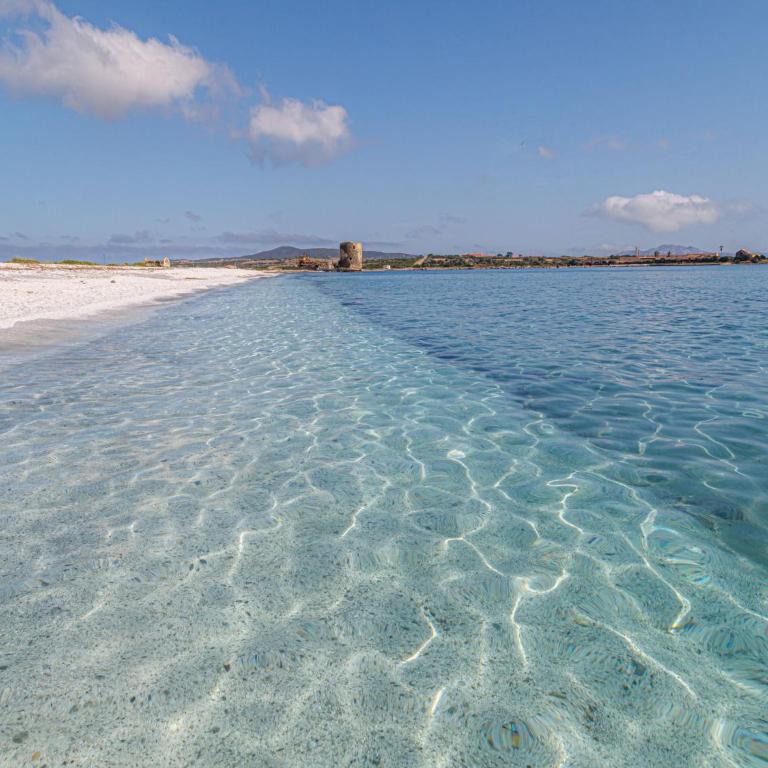 Cozy flat with pool near Stintino - Appartamento - 24