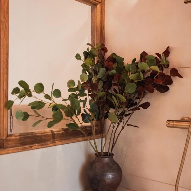 Suite Kyoto, experience Japonaise & shower spa XXL au coeur d'Uzès - Appartement 1 Chambre - 48