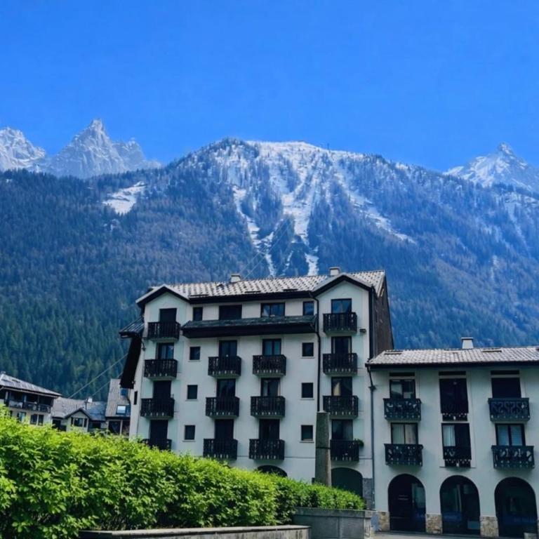 In The City Center With A View Of Mont Blanc - Apartment - 11