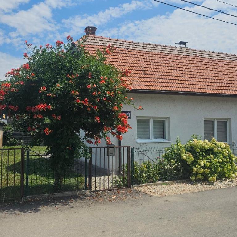 Green Retreat - Appartement 1 Chambre - 3
