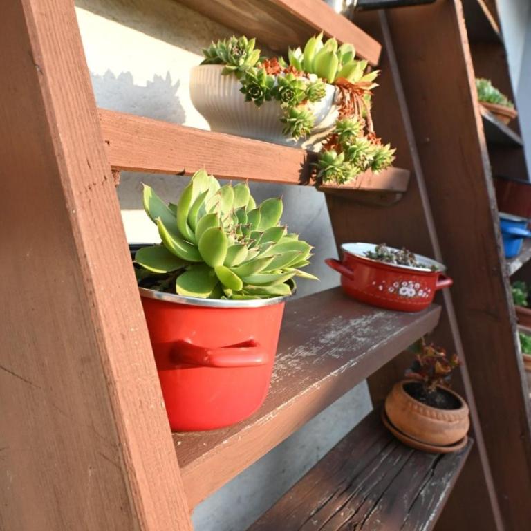 Green Retreat - Appartement 1 Chambre - 18
