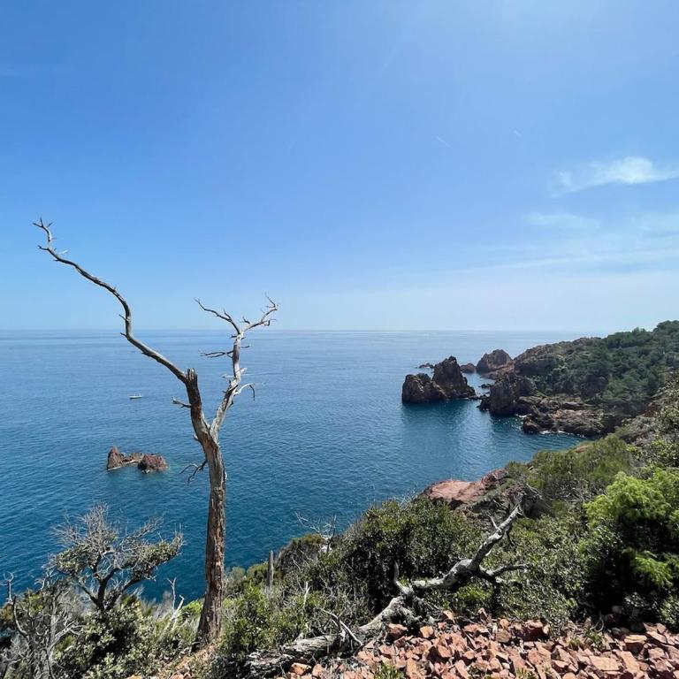 Red Apple Esterel - SEA view - WITHOUT Stairs - WIFI - Parking - Appartement 2 Chambres - 30