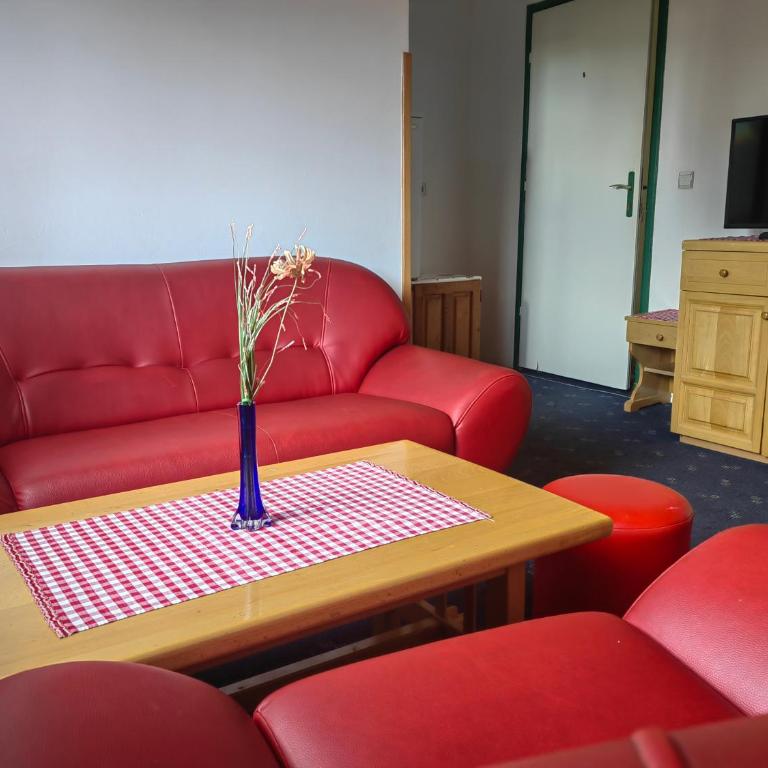 Bela Breza Zlatibor - Apartment mit 1 Schlafzimmer - 7