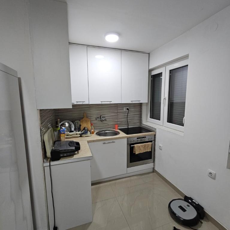 Beogradski mir - One-Bedroom Apartment - 8
