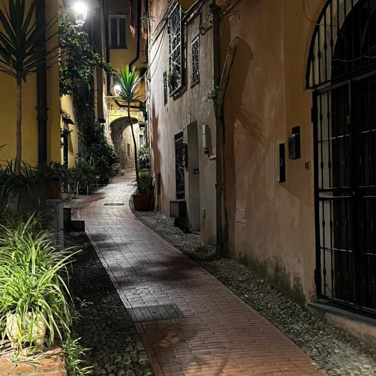 Appartamento tra le finestre blu della pigna - Appartamento con 1 Camera da Letto - 2
