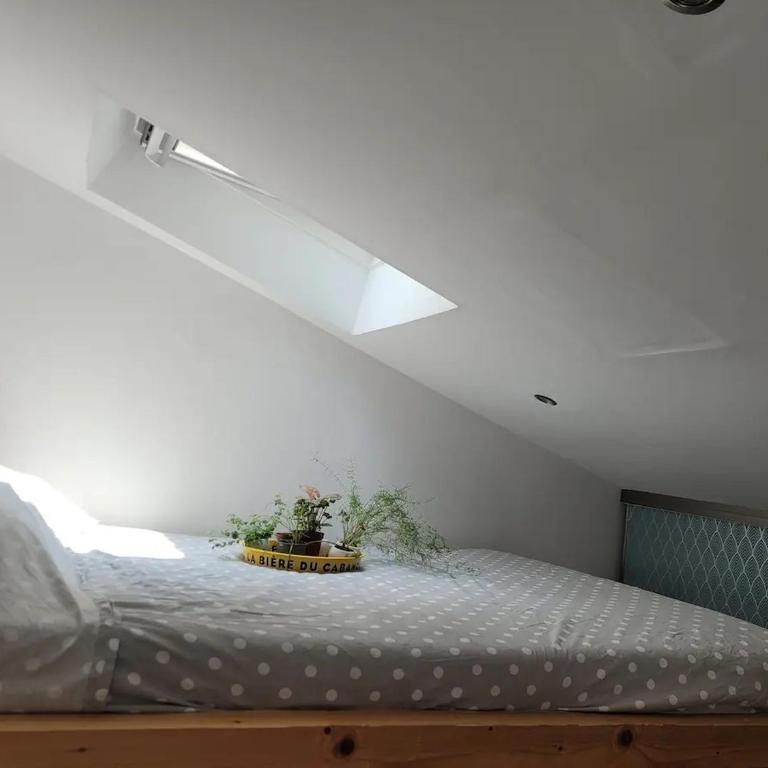 Superbe duplex avec terrasse au coeur de Paris - Appartement 1 Chambre - 11