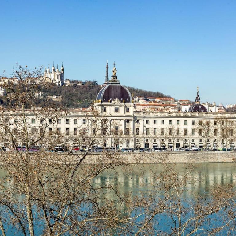 AllinLyon | Vue Hôtel-Dieu & charme - Apartment - 25