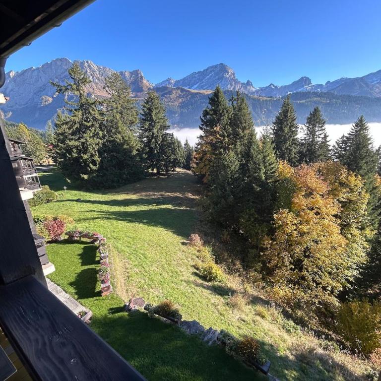 Mountains spacious nest - Two-Bedroom Apartment - 40