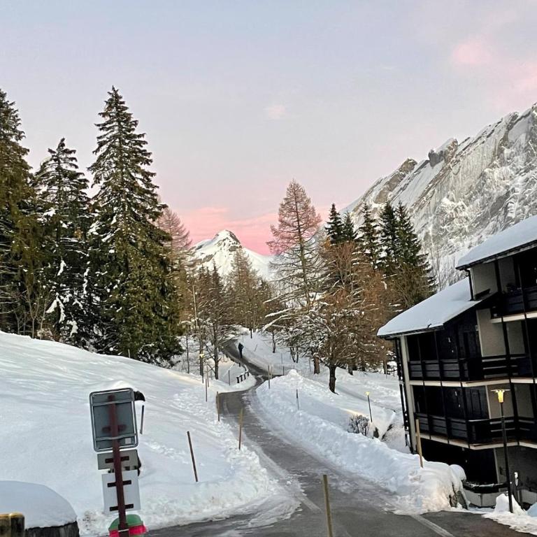 Mountains spacious nest - Two-Bedroom Apartment - 21