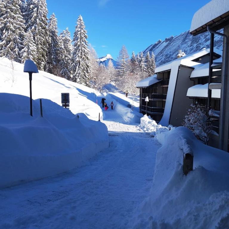 Mountains spacious nest - Two-Bedroom Apartment - 59