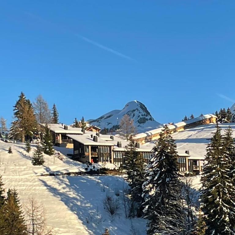 Mountains spacious nest - Two-Bedroom Apartment - 65
