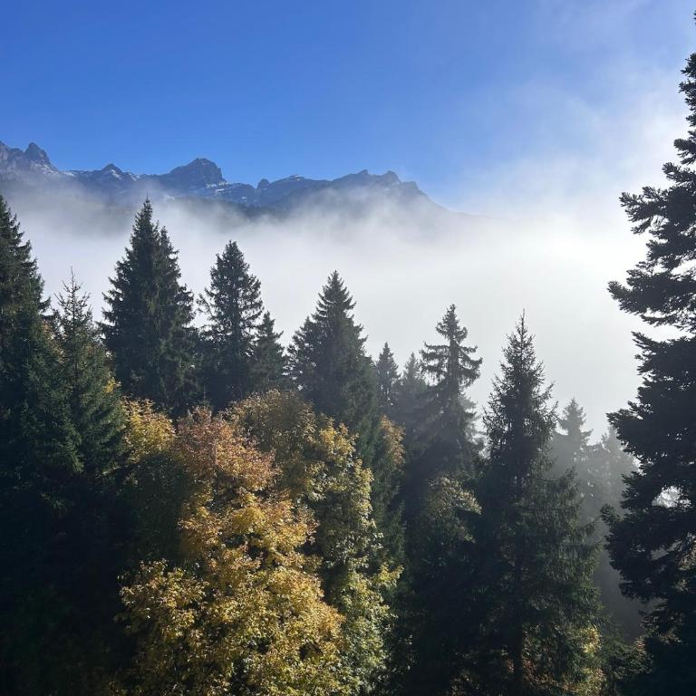 Mountains spacious nest - Two-Bedroom Apartment - 67