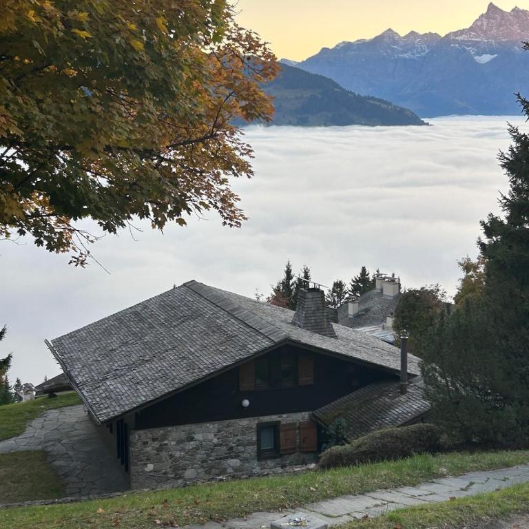 Mountains spacious nest - Two-Bedroom Apartment - 68