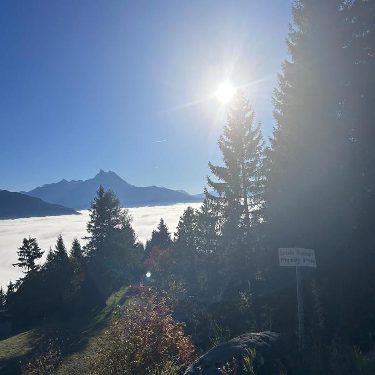 Mountains spacious nest - Two-Bedroom Apartment - 100