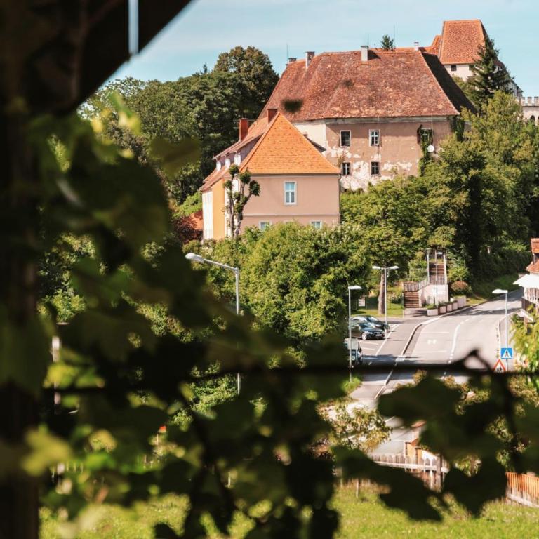 "Das Steirerhaus am Seggauberg" - Familien Ferienhaus mit zwei separaten Apartments - Haus mit 4 Schlafzimmern - 29