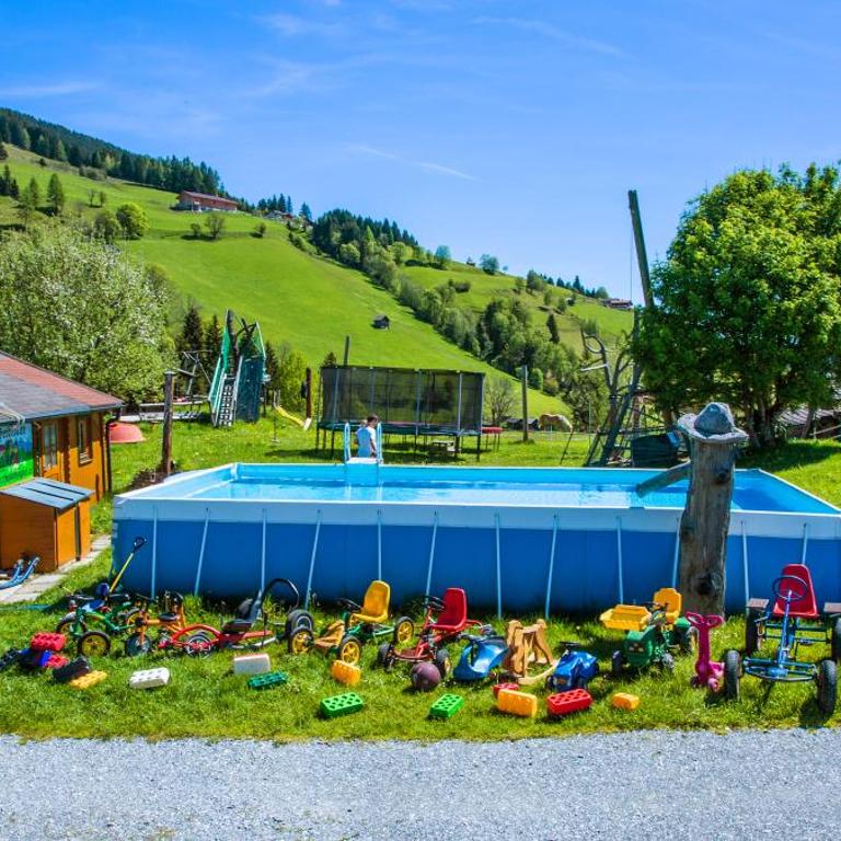 Bergbauernhof Familienparadies Oberhasenberghof - Chalet 1 Chambre - 1
