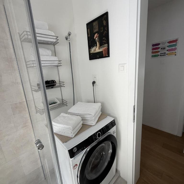 Premium City Apartments by Hotel Basler Tor Lucerne - Apartment mit 2 Schlafzimmern und Balkon - 12