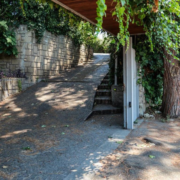 Appartamento in Villa con giardino - Appartamento con 1 Camera da Letto - 24