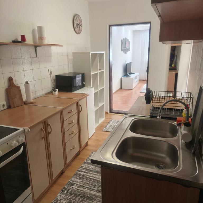 Apartment Sanja - Apartman sa 1 Spavaćom Sobom - 4