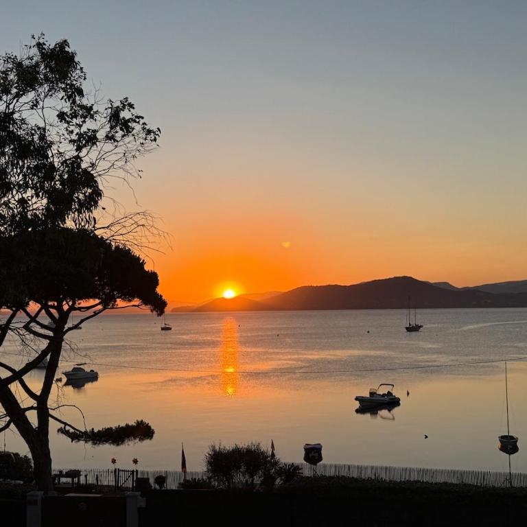 Villa Presqu'île de Giens Vue Mer Panoramique - Villa - 10