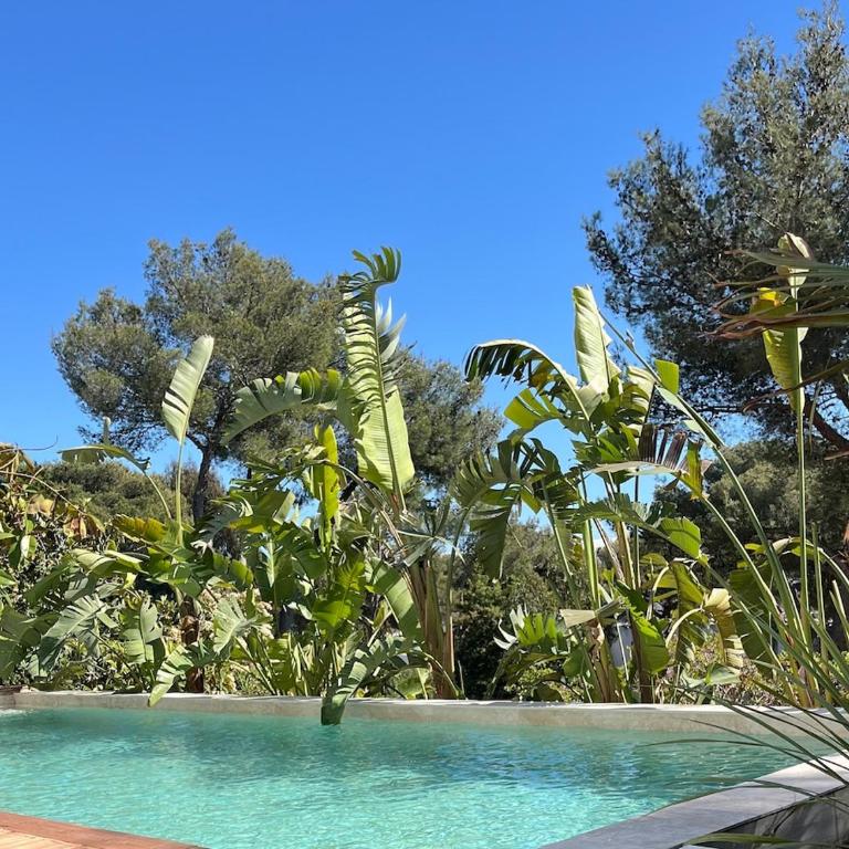Sea-view villa with pool - Casa de 5 dormitorios - 28