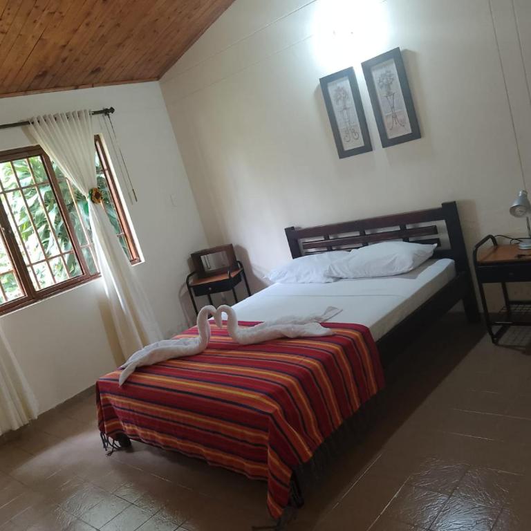 Hotel Campestre Tacurrumbi - Habitación Doble - 1