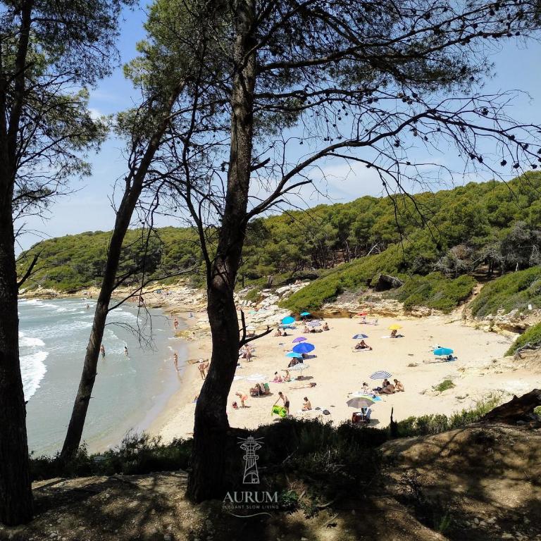 Aurum Holiday SlowLiving Torredembarra - Apartamento de 2 dormitorios - 31
