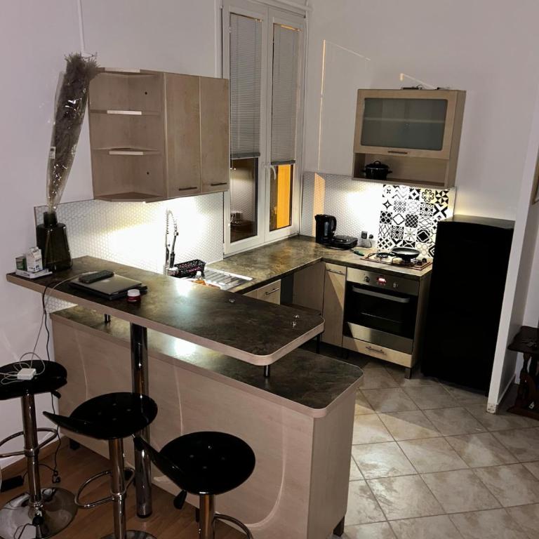 Cosy flat 10 min by walk from rue d Antibes - Appartement 3 Chambres - 17