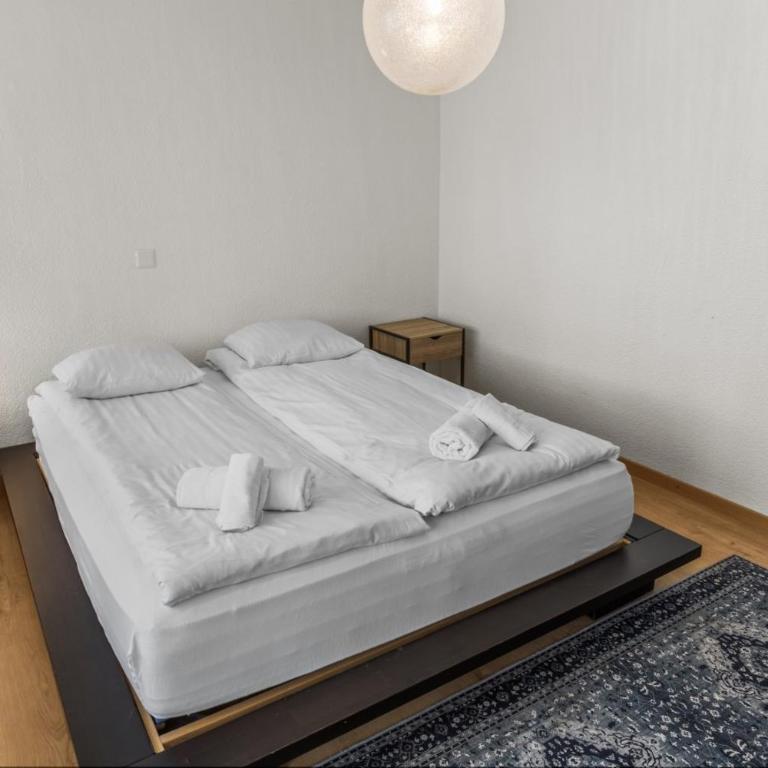 Logement spacieux et charmant - Apartamento de 3 dormitorios - 16