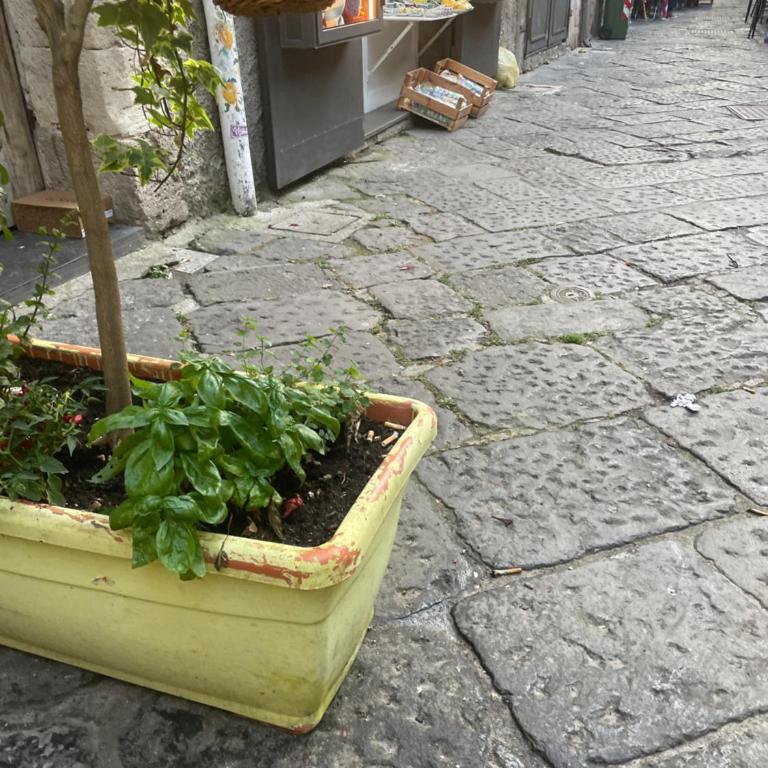 Vicolo Giudaica 32 - Appartamento con 2 Camere da Letto - 4