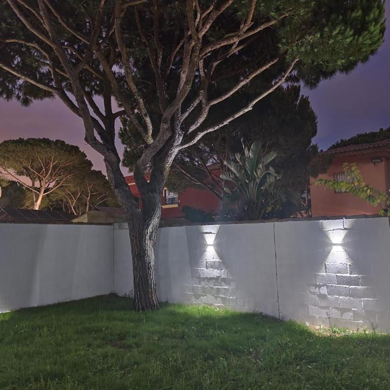 La OSTRA 33 - Four-Bedroom Vacation Home - 24