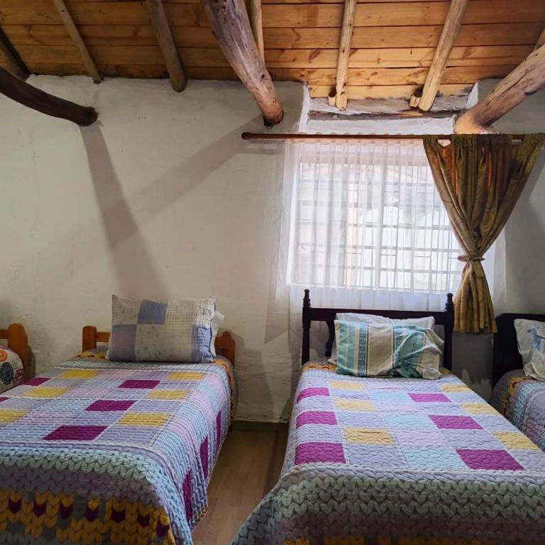 Hostal Villa San Juan - Cama Individual en habitación compartida femenina - 2