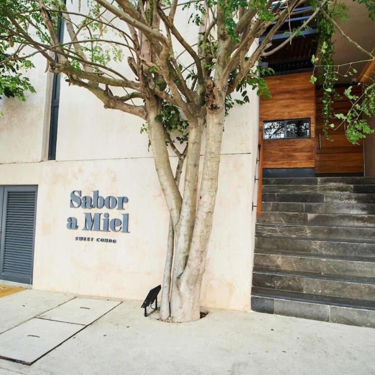 Sabor a Miel Steps from the Beach and 5th Avenue - Apartment - 9