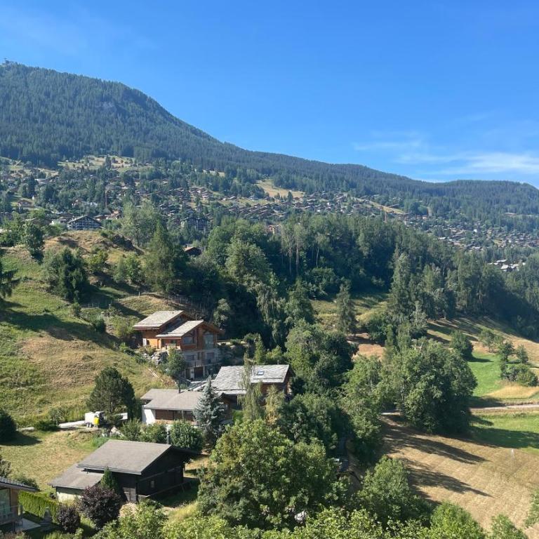 Bel appartement Résidence Grand Panorama - Apartamento de 3 dormitorios con vistas a las montañas - 17