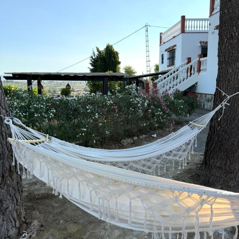 Finca Tranquila - Villa - 38