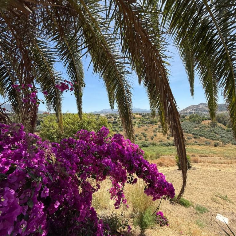 Finca Tranquila - Villa - 35