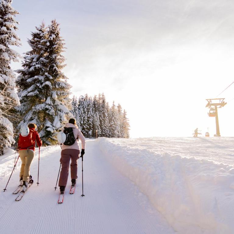Ferienhaus Försterlisl - direkt beim Skilift - Chalet - 22