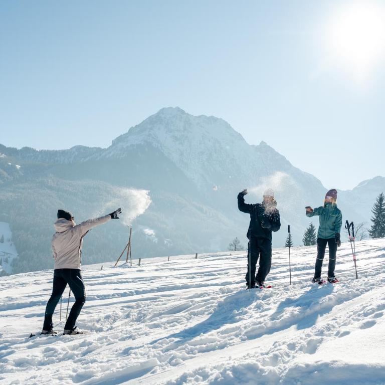 Ferienhaus Försterlisl - direkt beim Skilift - Chalet - 30