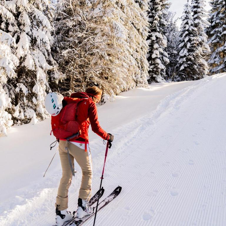 Ferienhaus Försterlisl - direkt beim Skilift - Chalet - 24
