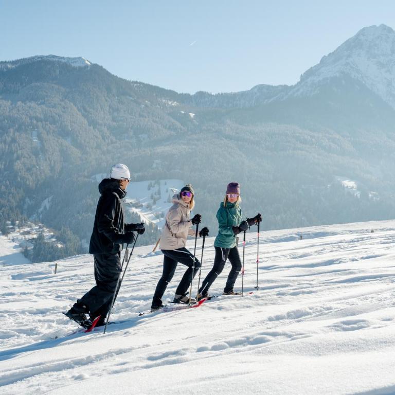 Ferienhaus Försterlisl - direkt beim Skilift - Chalet - 27