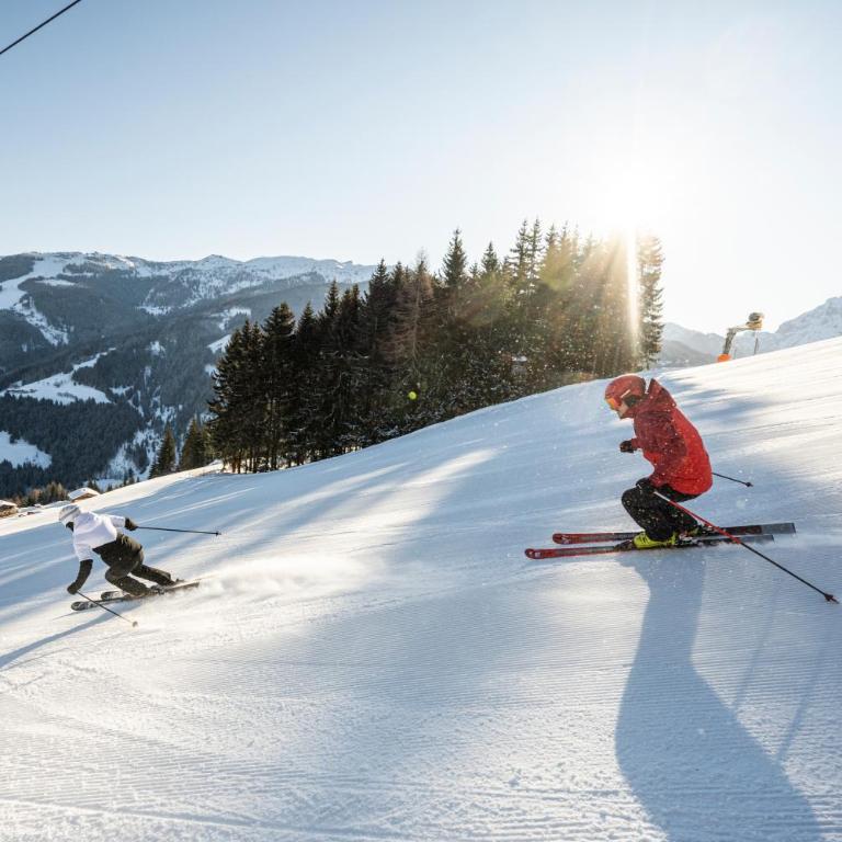 Ferienhaus Försterlisl - direkt beim Skilift - Chalet - 43
