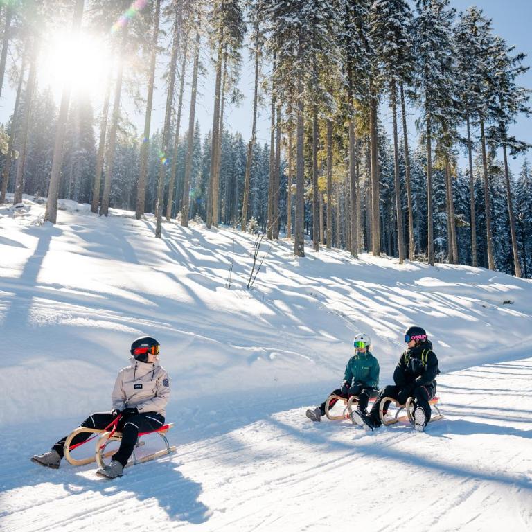 Ferienhaus Försterlisl - direkt beim Skilift - Chalet - 32