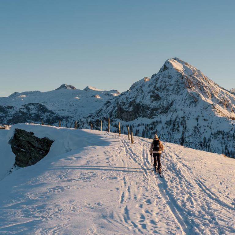 Ferienhaus Försterlisl - direkt beim Skilift - Chalet - 25